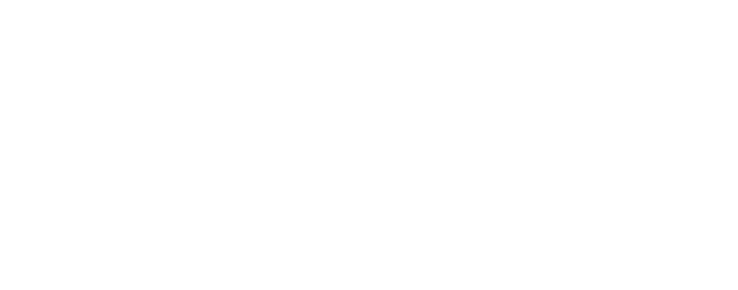 Löwen Management